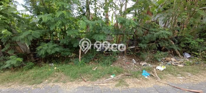 Tanah Disewa Strategis di Denpasar Luas 400m2 Tanah Disewa Strategis di Denpasar Luas 400m2