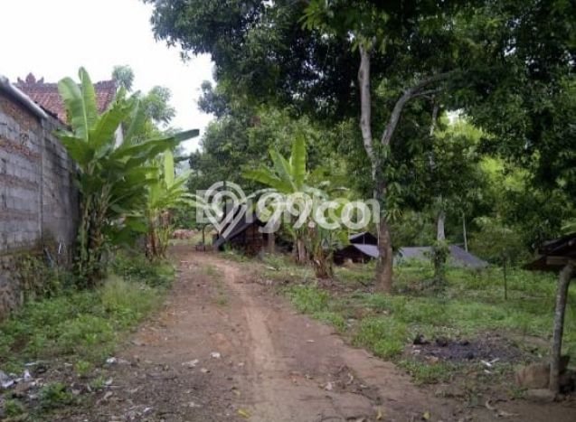 Tanah Dijual di Buleleng Seluas 1800m2 Strategis Tanah Dijual di Buleleng Seluas 1800m2 Strategis