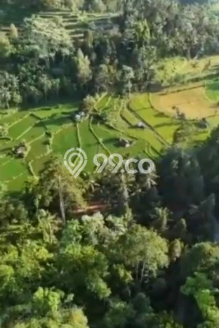 Tanah Kavling di Muncan Dijual dengan Luas 4000m2 Tanah Kavling di Muncan Dijual dengan Luas 4000m2