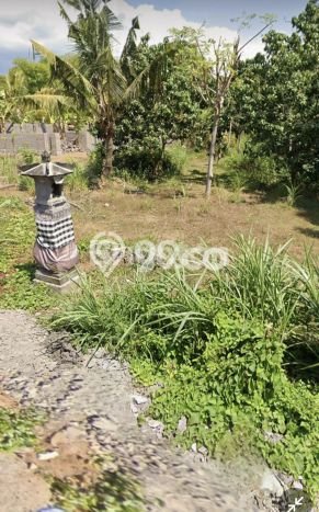Tanah Dijual di Buleleng Seluas 1800m2 Strategis Tanah Dijual di Buleleng Seluas 1800m2 Strategis