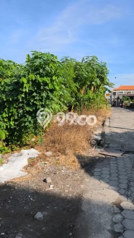 Tanah Investasi Dijual di Badung Punya Luas 39m2 Tanah Investasi Dijual di Badung Punya Luas 39m2