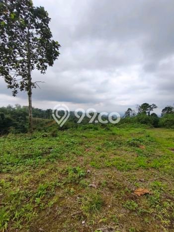 Tanah Area Strategis di Penebel, Luas 1000m2m², Cocok untuk Investasi Tanah Area Strategis di Penebel, Luas 1000m2m², Cocok untuk Investasi