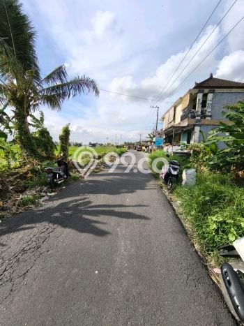 Disewakan Tanah di Kaba kaba Tabanan Seluas 6400m2 Disewakan Tanah di Kaba kaba Tabanan Seluas 6400m2