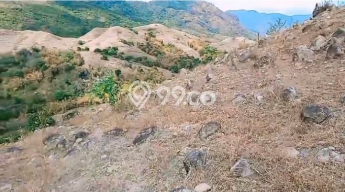 Dijual Tanah 142600m2 di Labuan Bajo, Manggarai Barat Dijual Tanah 142600m2 di Labuan Bajo, Manggarai Barat