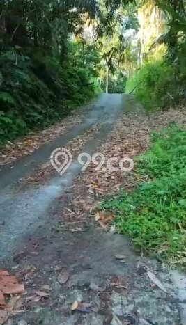 Tanah Kavling di Muncan Dijual dengan Luas 4000m2 Tanah Kavling di Muncan Dijual dengan Luas 4000m2