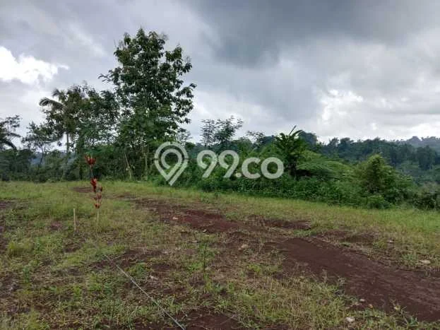 Tanah untuk Dijual Lokasi Tabanan, Tabanan Luas 500m2 SHM Tanah untuk Dijual Lokasi Tabanan, Tabanan Luas 500m2 SHM