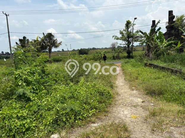 Tanah untuk Dijual di Mengwi Badung Luas 100m2 Tanah untuk Dijual di Mengwi Badung Luas 100m2