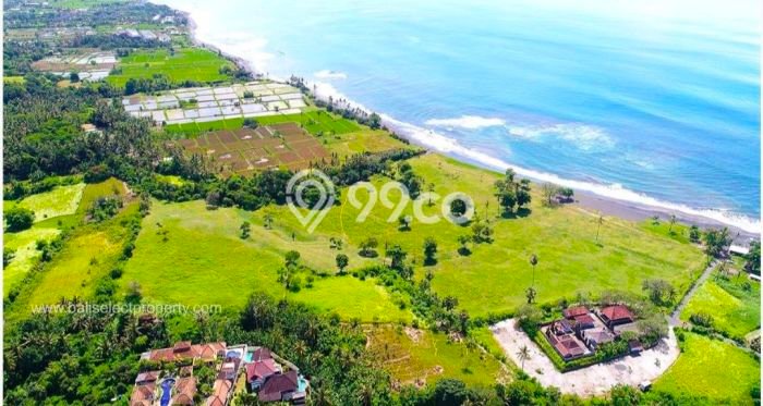 Tanah Dijual Area Strategis di Saba Gianyar 873m2 Tanah Dijual Area Strategis di Saba Gianyar 873m2