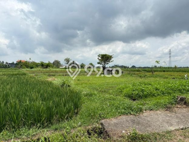 Tanah untuk Dijual di Mengwi Badung Luas 100m2 Tanah untuk Dijual di Mengwi Badung Luas 100m2
