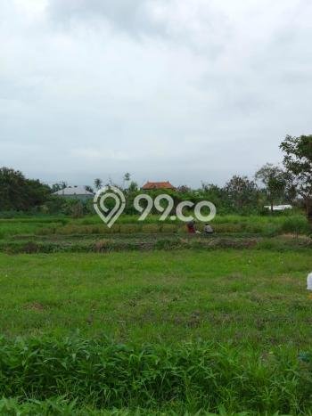 Tanah untuk Dijual di Mengwi Badung Luas 100m2 Tanah untuk Dijual di Mengwi Badung Luas 100m2