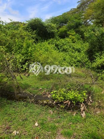 Dijual Tanah di Badung, Luas 467m2 SHM Dijual Tanah di Badung, Luas 467m2 SHM