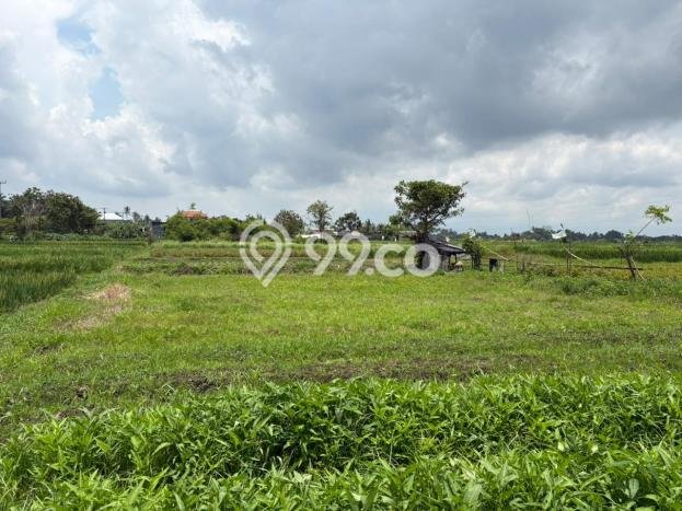 Tanah untuk Dijual di Mengwi Badung Luas 100m2 Tanah untuk Dijual di Mengwi Badung Luas 100m2