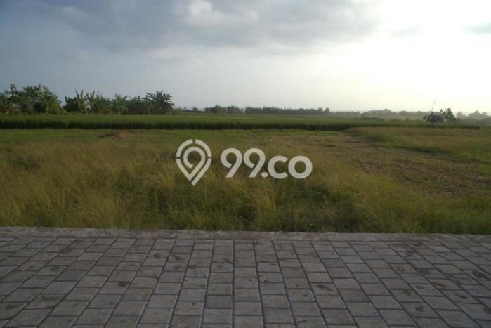 Tanah Dijual Lokasi Tabanan, Tabanan Luas 500m2 Legalitas Aman Tanah Dijual Lokasi Tabanan, Tabanan Luas 500m2 Legalitas Aman