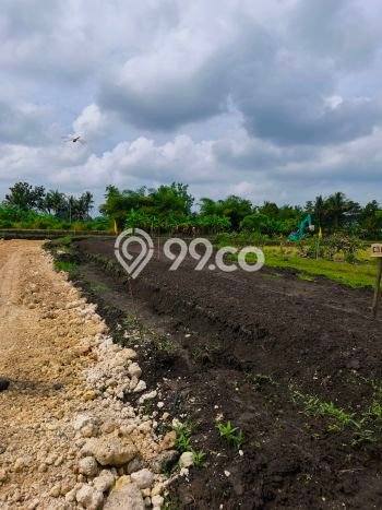Tanah Dijual Area Strategis di Pangkutibah Tabanan 5775m2 Tanah Dijual Area Strategis di Pangkutibah Tabanan 5775m2