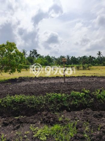 Tanah Dijual Area Strategis di Pangkutibah Tabanan 5775m2 Tanah Dijual Area Strategis di Pangkutibah Tabanan 5775m2