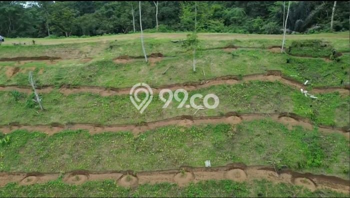 Tanah Area Strategis di Penebel, Luas 1000m2m², Cocok untuk Investasi Tanah Area Strategis di Penebel, Luas 1000m2m², Cocok untuk Investasi