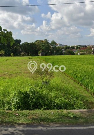 Disewakan Tanah di Badung, Luas 2100m2 Area Berkembang Disewakan Tanah di Badung, Luas 2100m2 Area Berkembang