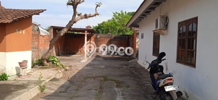 Jual Rumah Eksklusif 3 KT di Lovina, Buleleng Jual Rumah Eksklusif 3 KT di Lovina, Buleleng