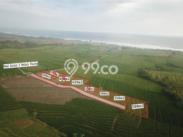 Tanah Dijual Lokasi Tabanan, Tabanan Luas 500m2 Legalitas Aman Tanah Dijual Lokasi Tabanan, Tabanan Luas 500m2 Legalitas Aman