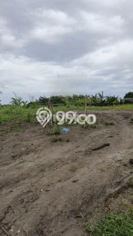 Kavling Tanah untuk Dijual di Sibang Gede, Badung, Luas 1690m2 Kavling Tanah untuk Dijual di Sibang Gede, Badung, Luas 1690m2
