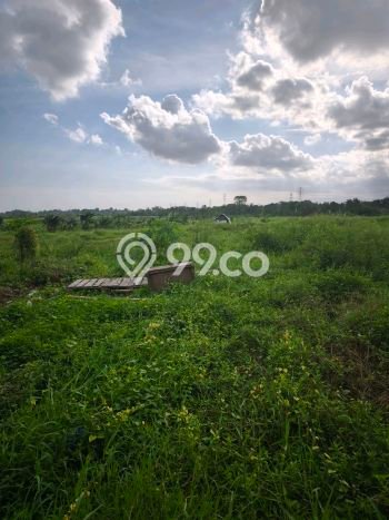 Disewakan Tanah di Kaba kaba Tabanan Seluas 6400m2 Disewakan Tanah di Kaba kaba Tabanan Seluas 6400m2