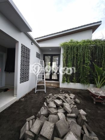 Sewa Rumah Murah di Dalung Badung dengan 2 Kamar Tidur Sewa Rumah Murah di Dalung Badung dengan 2 Kamar Tidur
