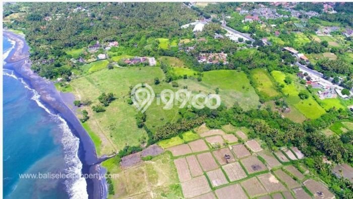 Tanah Premium Kawasan Saba, Luas 600m2m², Ideal untuk Investasi Tanah Premium Kawasan Saba, Luas 600m2m², Ideal untuk Investasi