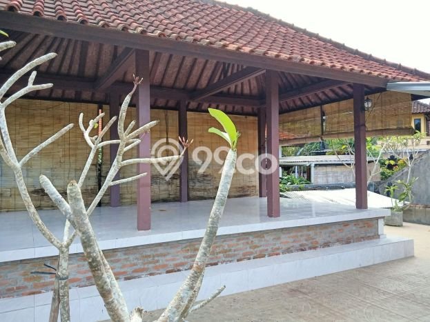 Rumah Strategis di , Dekat Kawasan Bisnis, Badung - 3 Kamar Tidur Rumah Strategis di , Dekat Kawasan Bisnis, Badung - 3 Kamar Tidur