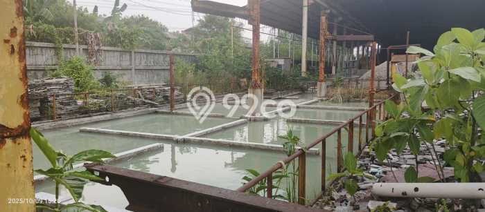 Gudang bagus disewakan di Gunung Putri Bogor dengan LB 6299m2 harga sewa terbaik Gudang bagus disewakan di Gunung Putri Bogor dengan LB 6299m2 harga sewa terbaik