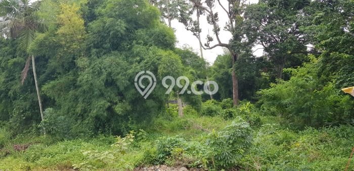 Kavling Tanah untuk Dijual di Krukut, Depok, Luas 31291m2 Kavling Tanah untuk Dijual di Krukut, Depok, Luas 31291m2
