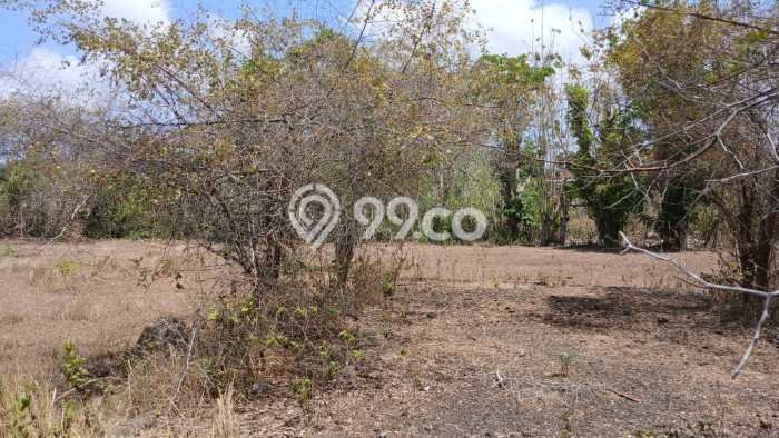 Lahan Kosong Dijual di Badung dengan Area 250m2 Lahan Kosong Dijual di Badung dengan Area 250m2