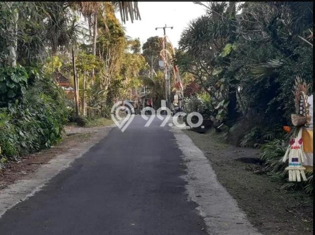 Untuk Dijual Tanah di Tabanan Tabanan Luas 195m2 SHM Untuk Dijual Tanah di Tabanan Tabanan Luas 195m2 SHM