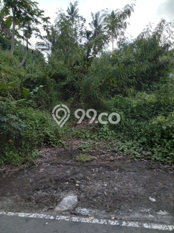 Dijual Tanah di Abiansemal Badung Luas 1050m2 SHM Dijual Tanah di Abiansemal Badung Luas 1050m2 SHM