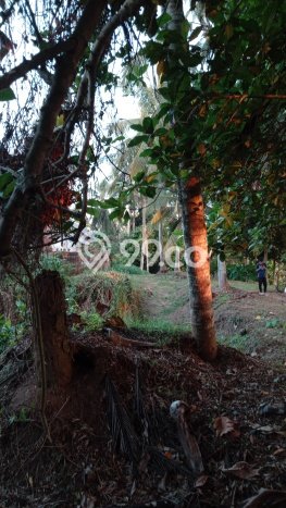 Dijual Tanah di Abiansemal Badung Luas 1050m2 SHM Dijual Tanah di Abiansemal Badung Luas 1050m2 SHM