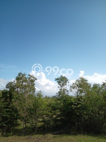 LOKASI STRATEGIS! Tanah Kawasan Ungasan, Luas 1200m², Lingkungan Asri, Cocok untuk Investasi LOKASI STRATEGIS! Tanah Kawasan Ungasan, Luas 1200m², Lingkungan Asri, Cocok untuk Investasi