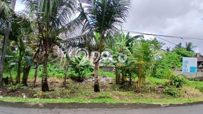 Untuk Dijual Tanah di Tabanan Tabanan Luas 195m2 SHM Untuk Dijual Tanah di Tabanan Tabanan Luas 195m2 SHM