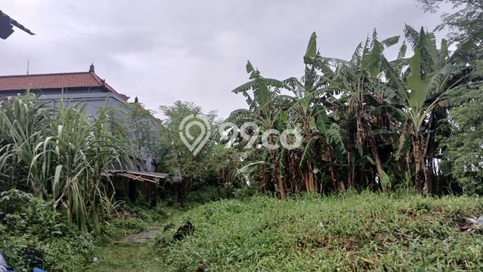 Kavling Tanah Lokasi Strategis di Tabanan, Tabanan Disewakan 1400m2 Kavling Tanah Lokasi Strategis di Tabanan, Tabanan Disewakan 1400m2