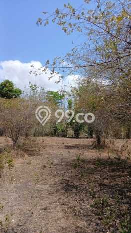 Lahan Kosong Dijual di Badung dengan Area 250m2 Lahan Kosong Dijual di Badung dengan Area 250m2