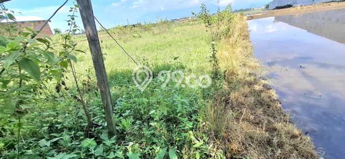 Tanah Dijual Lokasi Pakis, Malang dengan Luas Tanah 1543m2 dan Status SHM Tanah Dijual Lokasi Pakis, Malang dengan Luas Tanah 1543m2 dan Status SHM
