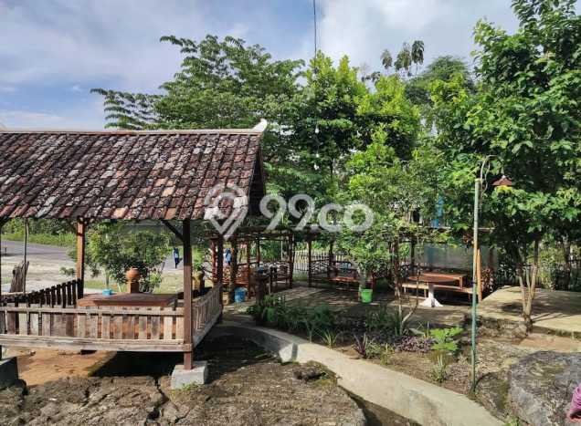 Kavling Tanah di Karangmojo Dijual Luas 4860m2 Legalitas SHM Kavling Tanah di Karangmojo Dijual Luas 4860m2 Legalitas SHM