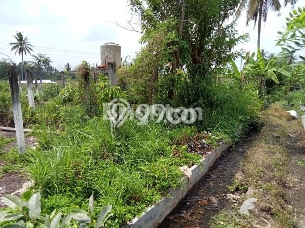Disewakan Tanah Lokasi Strategis di Pakem Sleman 1105m2 Disewakan Tanah Lokasi Strategis di Pakem Sleman 1105m2