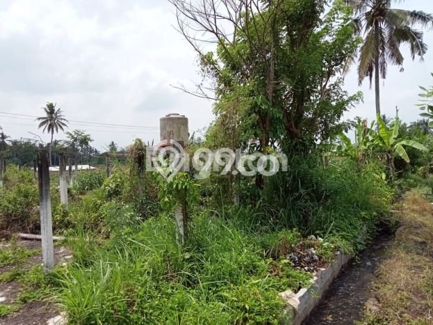 Disewakan Tanah Lokasi Strategis di Pakem Sleman 1105m2 Disewakan Tanah Lokasi Strategis di Pakem Sleman 1105m2