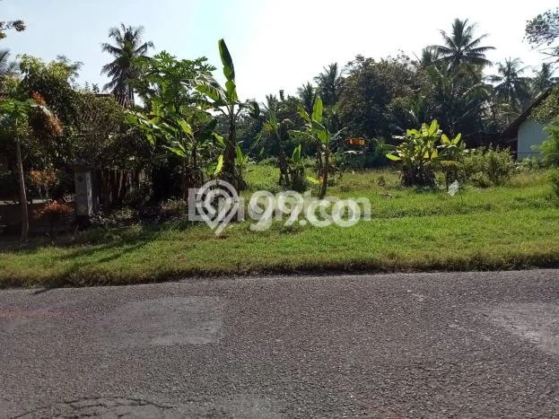 Kavling Tanah Lokasi Strategis di Temon, Kulon Progo Disewakan 2058m2 Kavling Tanah Lokasi Strategis di Temon, Kulon Progo Disewakan 2058m2