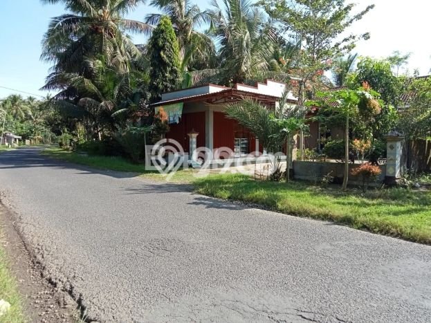 Kavling Tanah Lokasi Strategis di Temon, Kulon Progo Disewakan 2058m2 Kavling Tanah Lokasi Strategis di Temon, Kulon Progo Disewakan 2058m2
