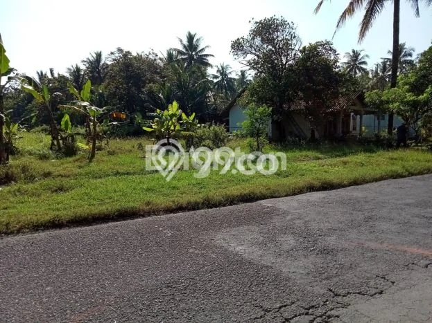 Kavling Tanah Lokasi Strategis di Temon, Kulon Progo Disewakan 2058m2 Kavling Tanah Lokasi Strategis di Temon, Kulon Progo Disewakan 2058m2