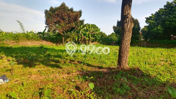 Tanah Dijual di Bogor Seluas 927m2 Strategis Tanah Dijual di Bogor Seluas 927m2 Strategis