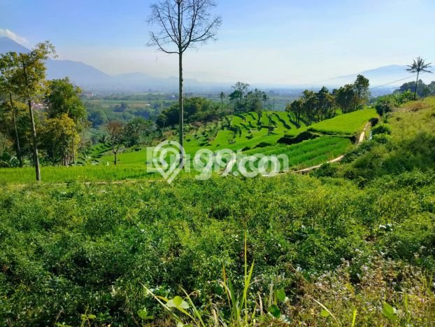 Lahan Strategis di Cilawu Dijual dengan Luas 2e+07m2 Lahan Strategis di Cilawu Dijual dengan Luas 2e+07m2