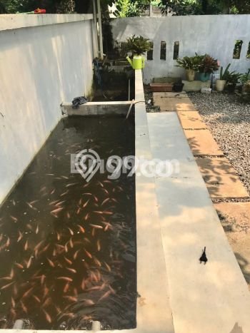 Jual Rumah Minimalis Bagus Punya 3 KT di Gunung Sindur Bogor SHM Jual Rumah Minimalis Bagus Punya 3 KT di Gunung Sindur Bogor SHM