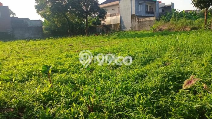 Tanah Dijual di Bogor Seluas 927m2 Strategis Tanah Dijual di Bogor Seluas 927m2 Strategis
