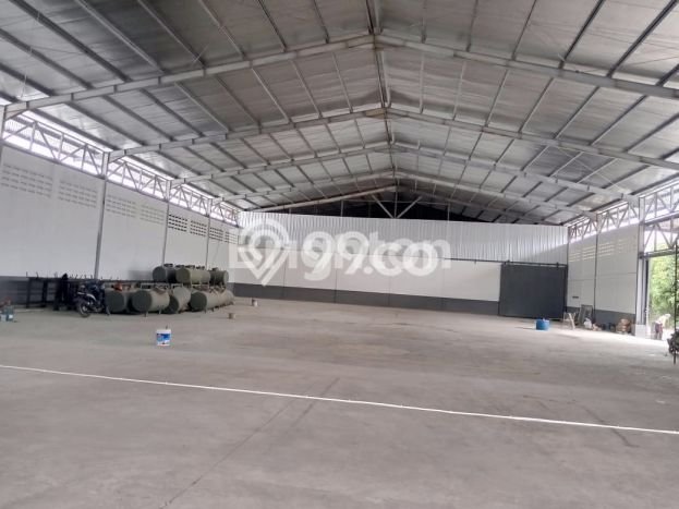 Gudang Disewakan Cepat di Babakan Madang Bogor LB 1200m2 Gudang Disewakan Cepat di Babakan Madang Bogor LB 1200m2